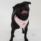 PINK COW PRINT HARNESS
