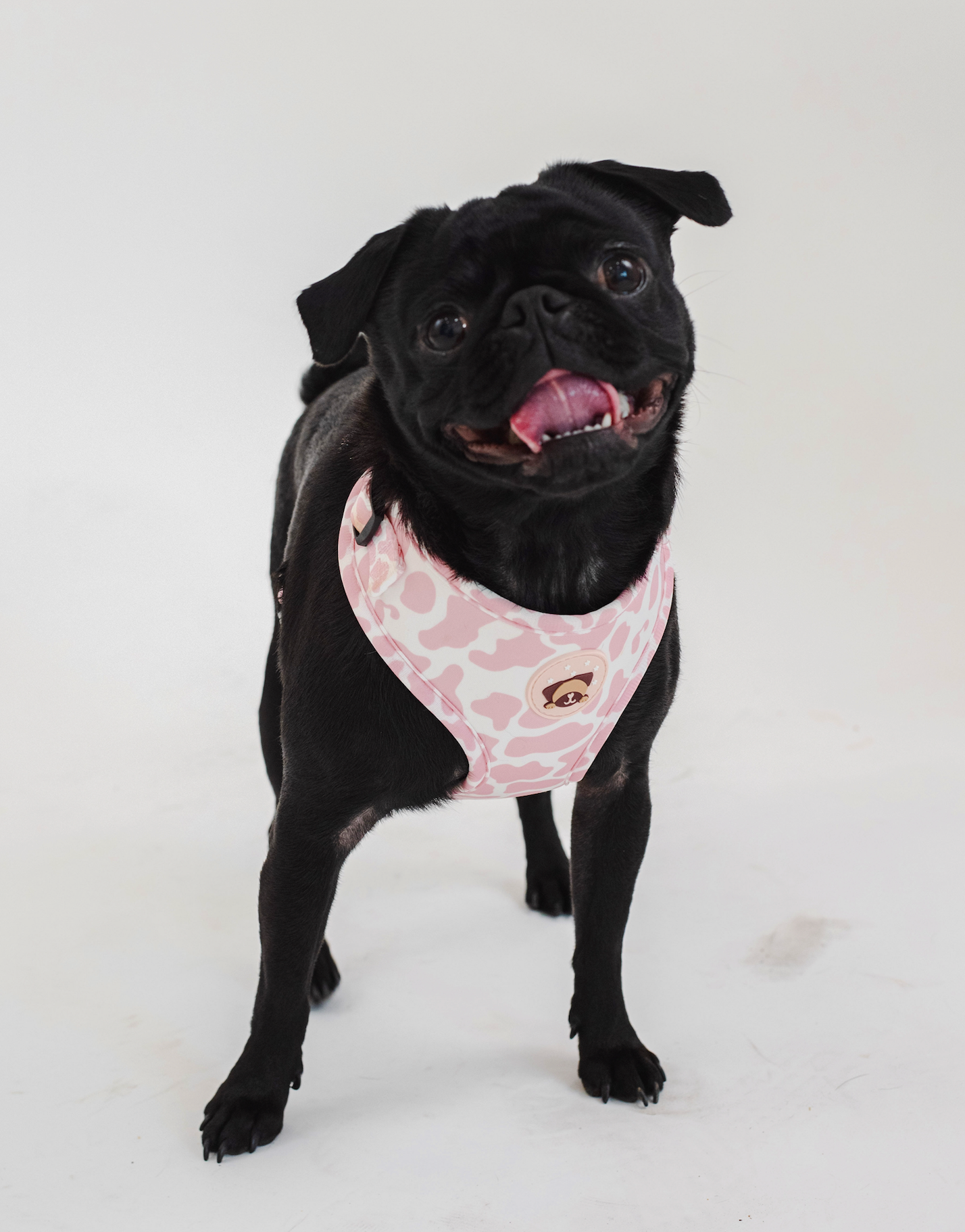 PINK COW PRINT HARNESS