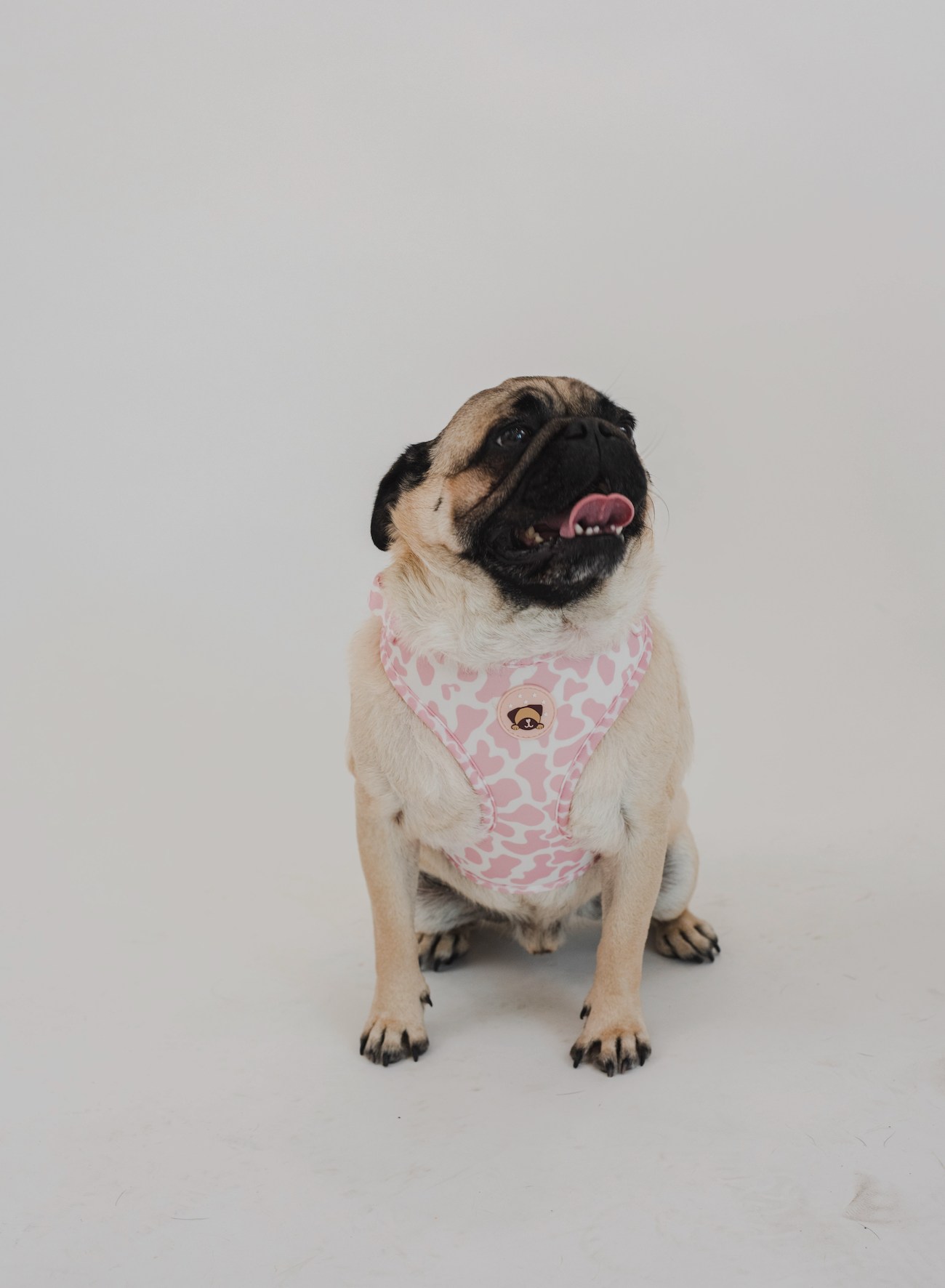 PINK COW PRINT HARNESS