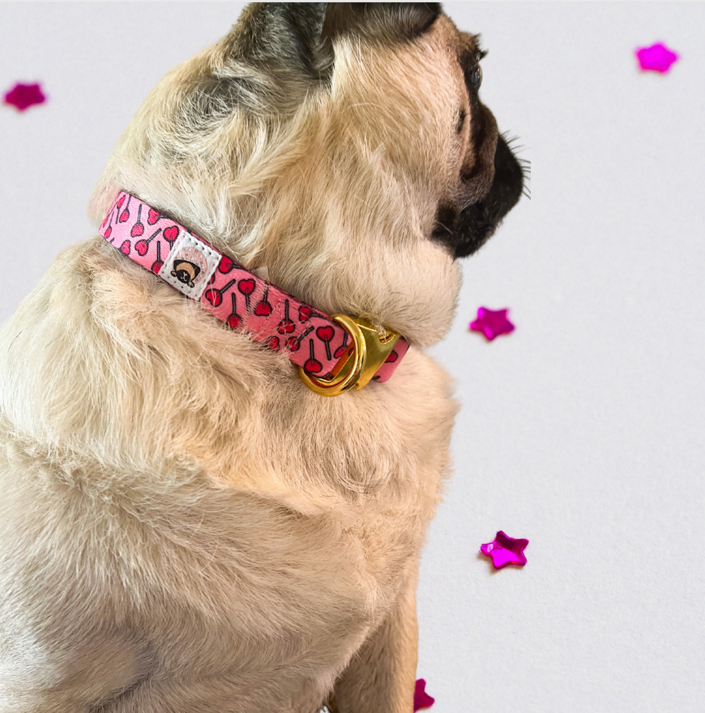 PINK CANDY COLLAR